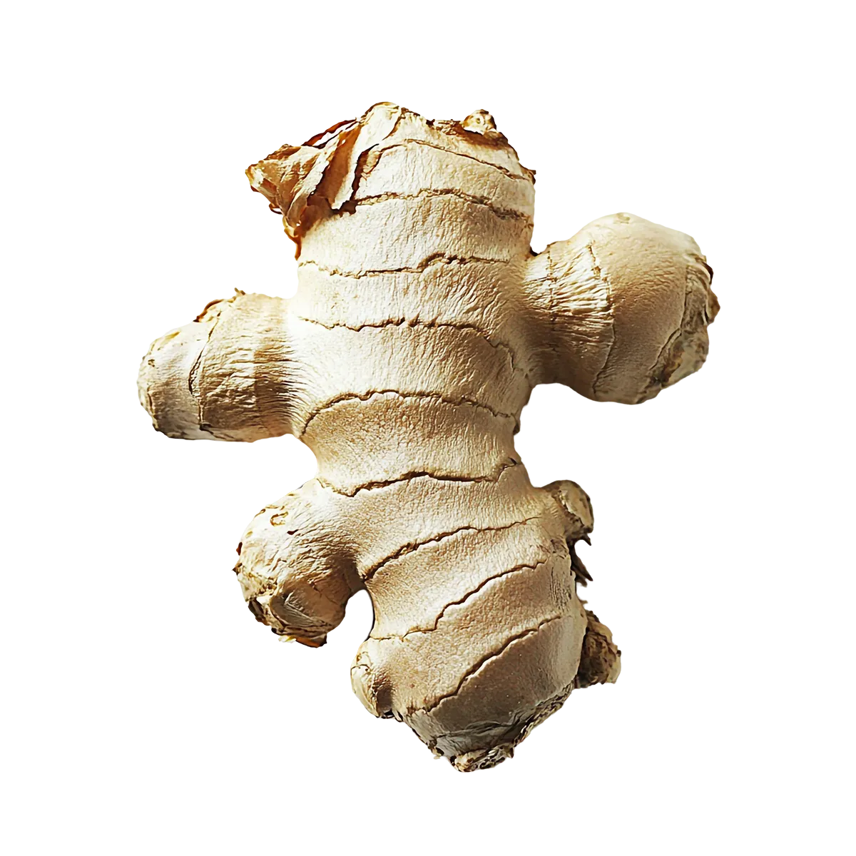Fresh ginger root on a white background